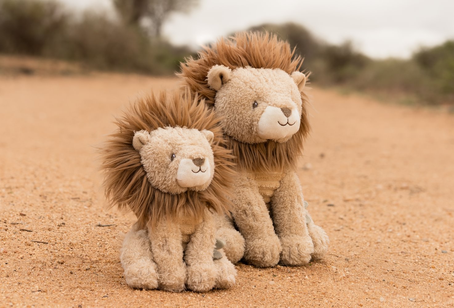 Knuffel Leeuw 25 cm - Safari Friends GRS - Afbeelding 2