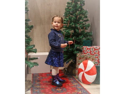 Sequin | Velvet Skirt