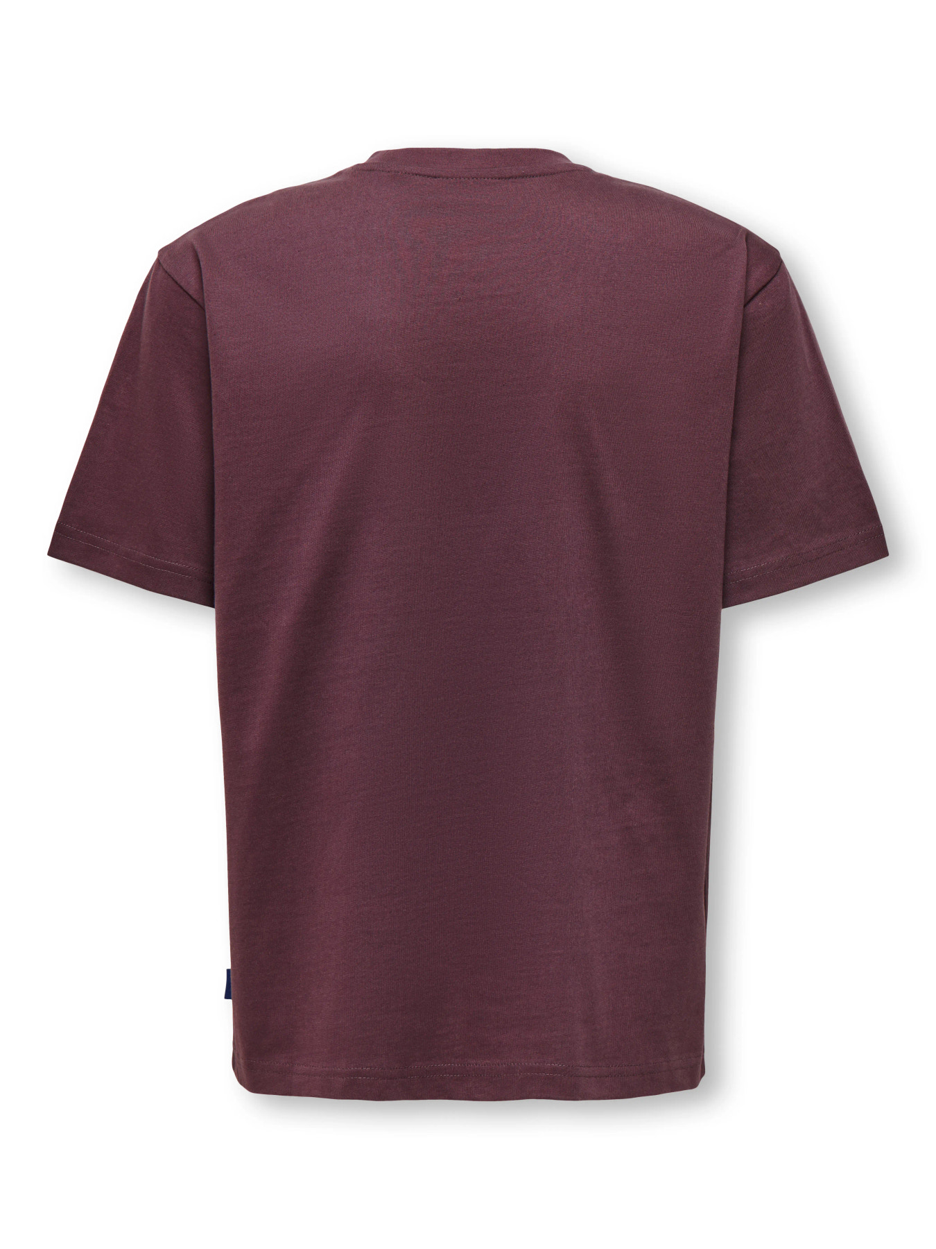 OSJFRED TEE  Huckleberry - Afbeelding 1