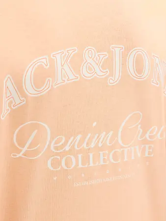 JJEBRANDES RELAXED TEE - Afbeelding 4