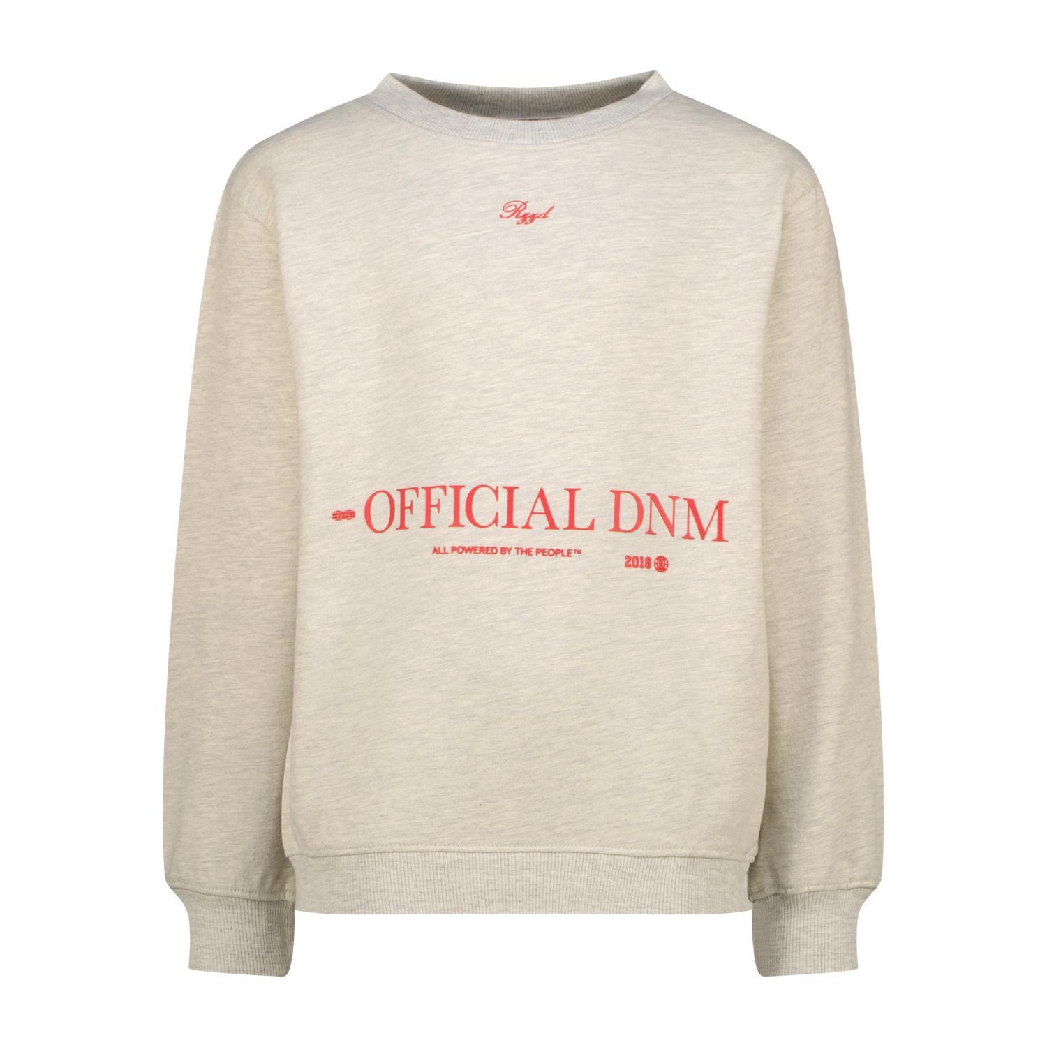Raizzed Sweater Nofficial
