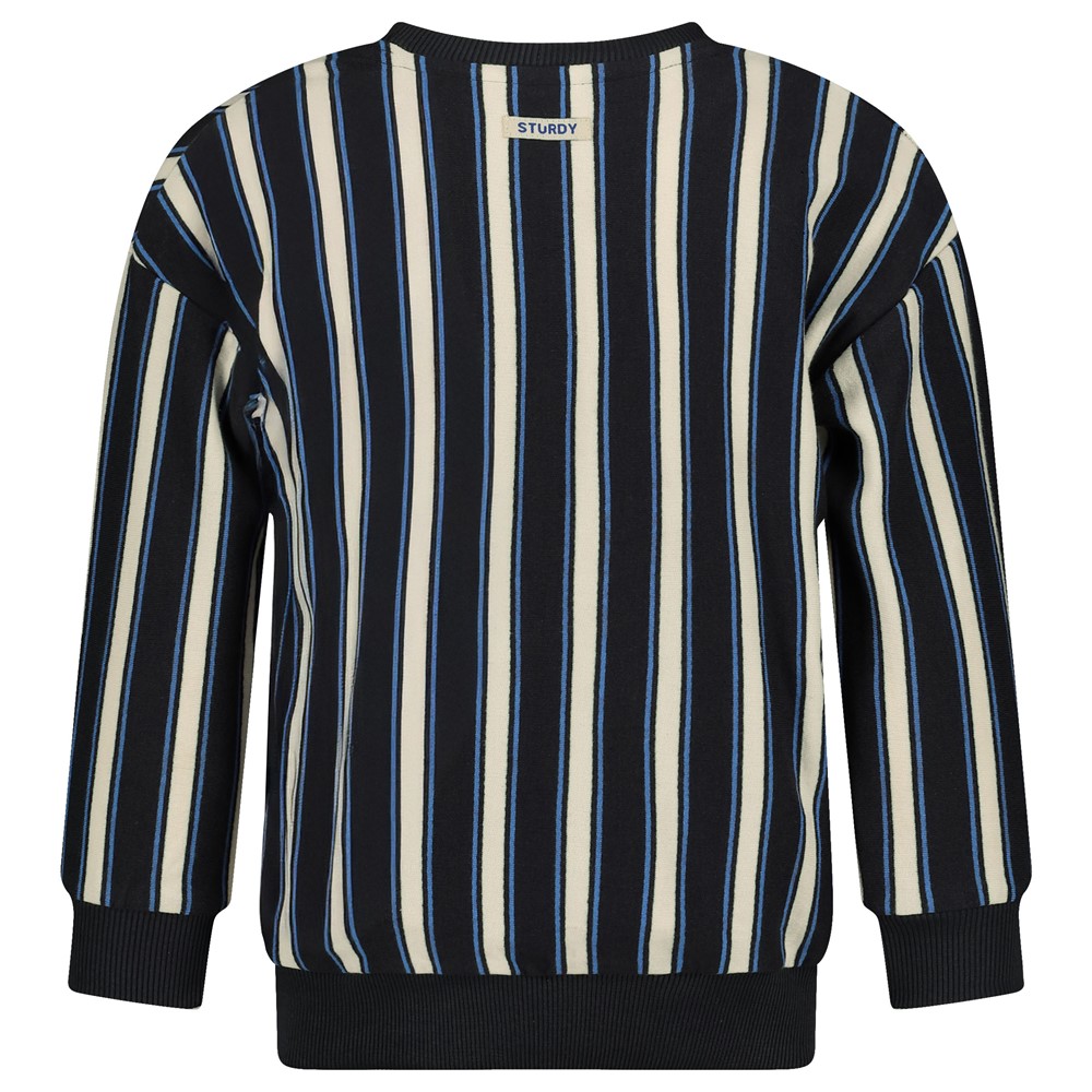Sturdy Sweater - Run the Day  - Afbeelding 1