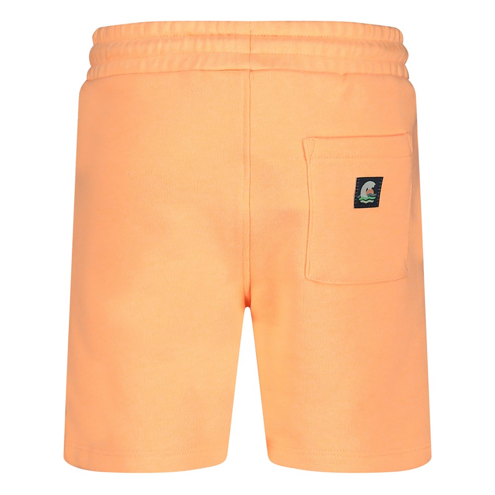 Sturdy Short - Lagoon Legends  - Afbeelding 2