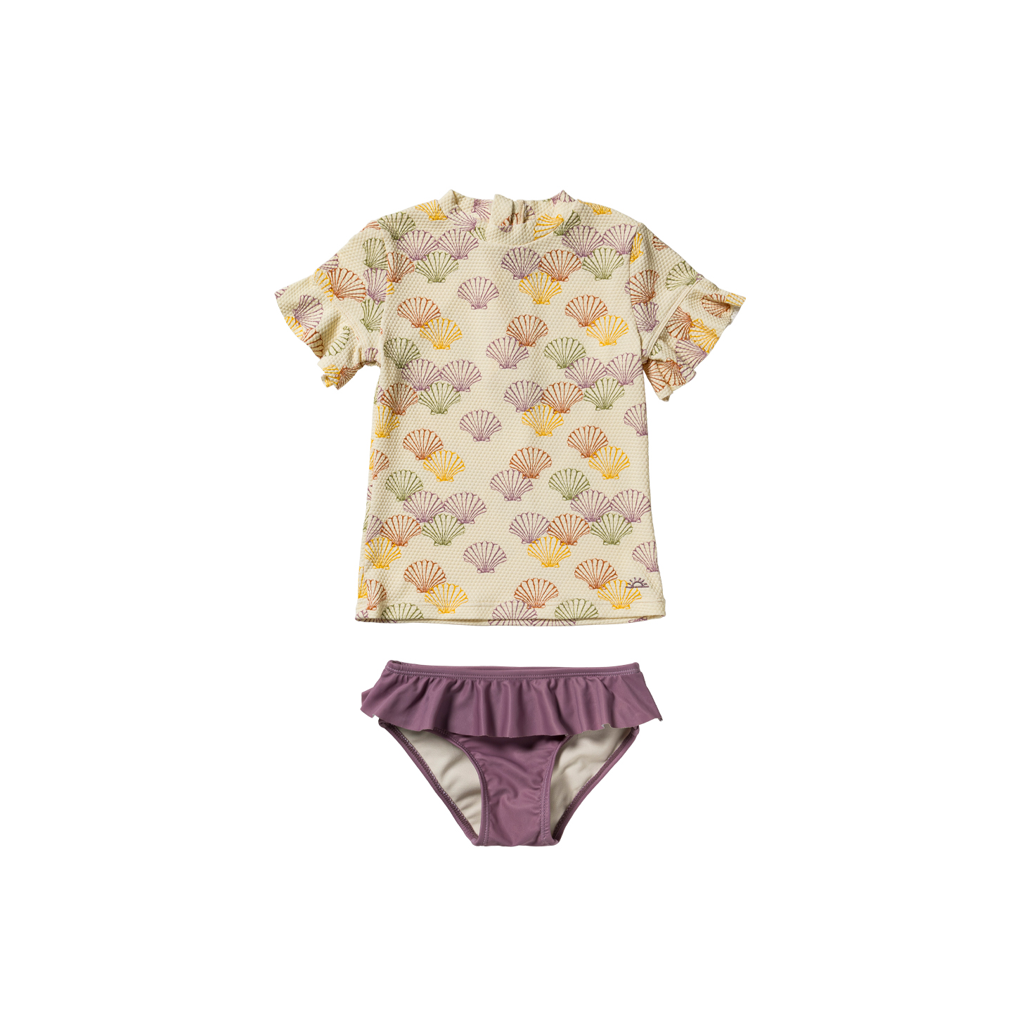 Shells | Set 
