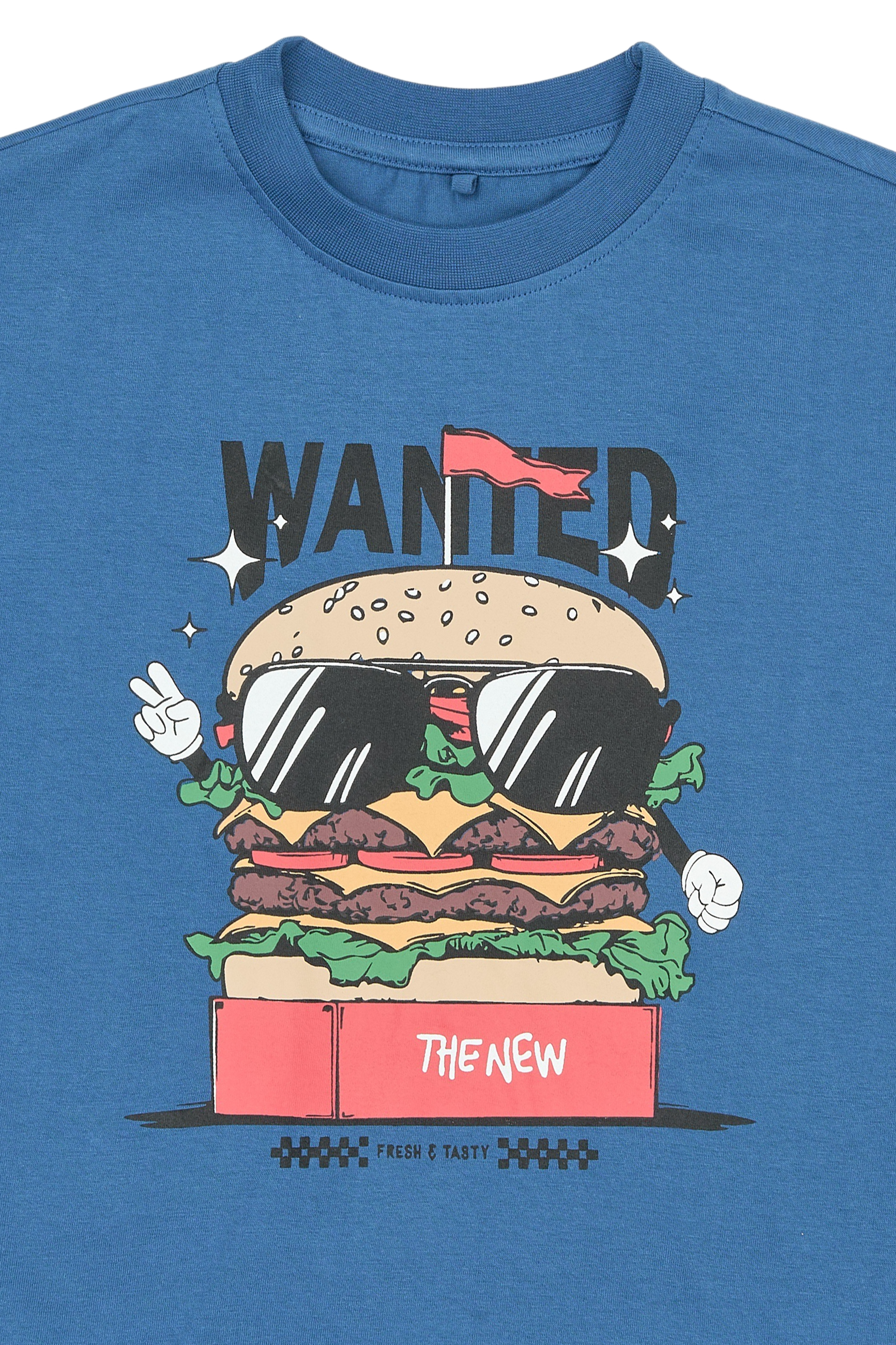 THE NEW TNSteve 