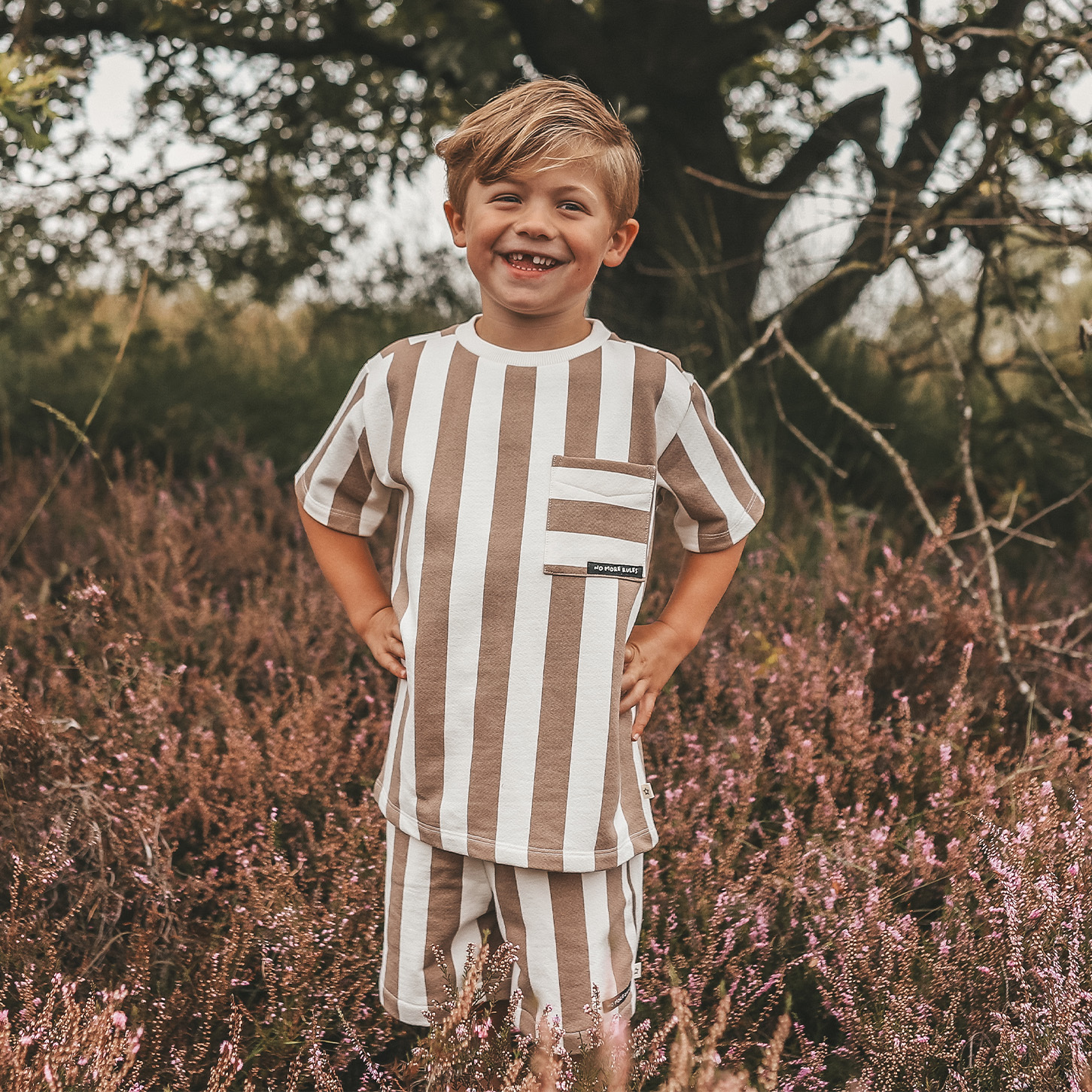 Your Wishes Bold Stripes | Relaxed Shorts